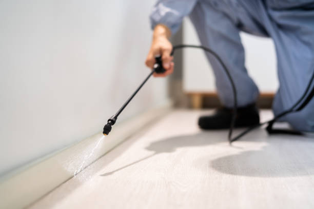 Professional exterminator conducting IPM assessment in Peaceful Valley